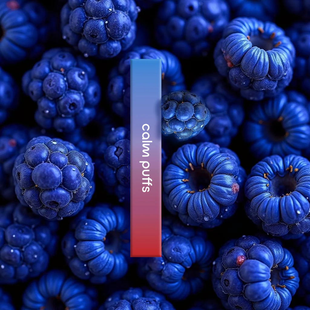 blue raspberry 🫐 + ashwagandha vape blue raspberry 🫐 + ashwagandha vape